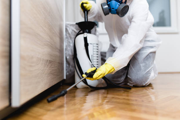 Best Wasp Removal Services  in Saxon, SC