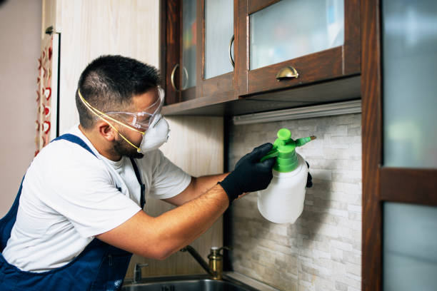 Best Affordable Pest Control Services  in Saxon, SC