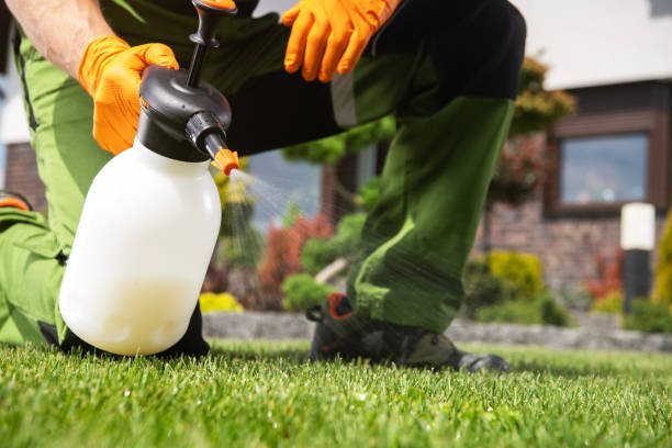 Best Pest Control Near Me  in Saxon, SC