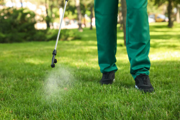 Best Exterminator Services  in Saxon, SC