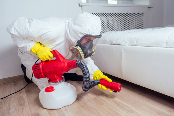 Wasp Removal Services in Saxon, SC