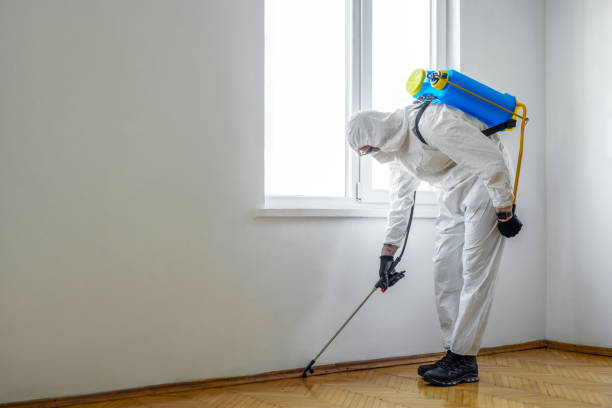 Best Pest Control Treatment  in Saxon, SC
