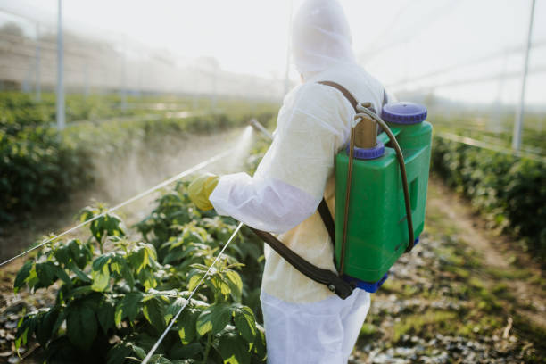 Best Pest Prevention Services  in Saxon, SC